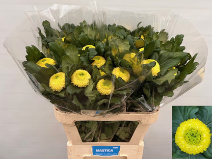 FeedSync:wholesale:fa5487c4852d9a701ae663c757cb02a5da113803