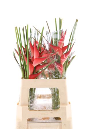 FeedSync:wholesale:593779abaa6def47213588e6d3b5f118b6cf9f73