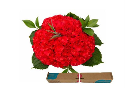 FeedSync:wholesale:87b538c914c98fb60acc301ccf7f3c2ac72fd339