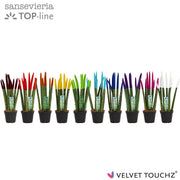 Sans Cyl Velvet Touch Gemengd