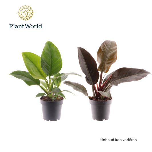 Phil imperial Gemengd