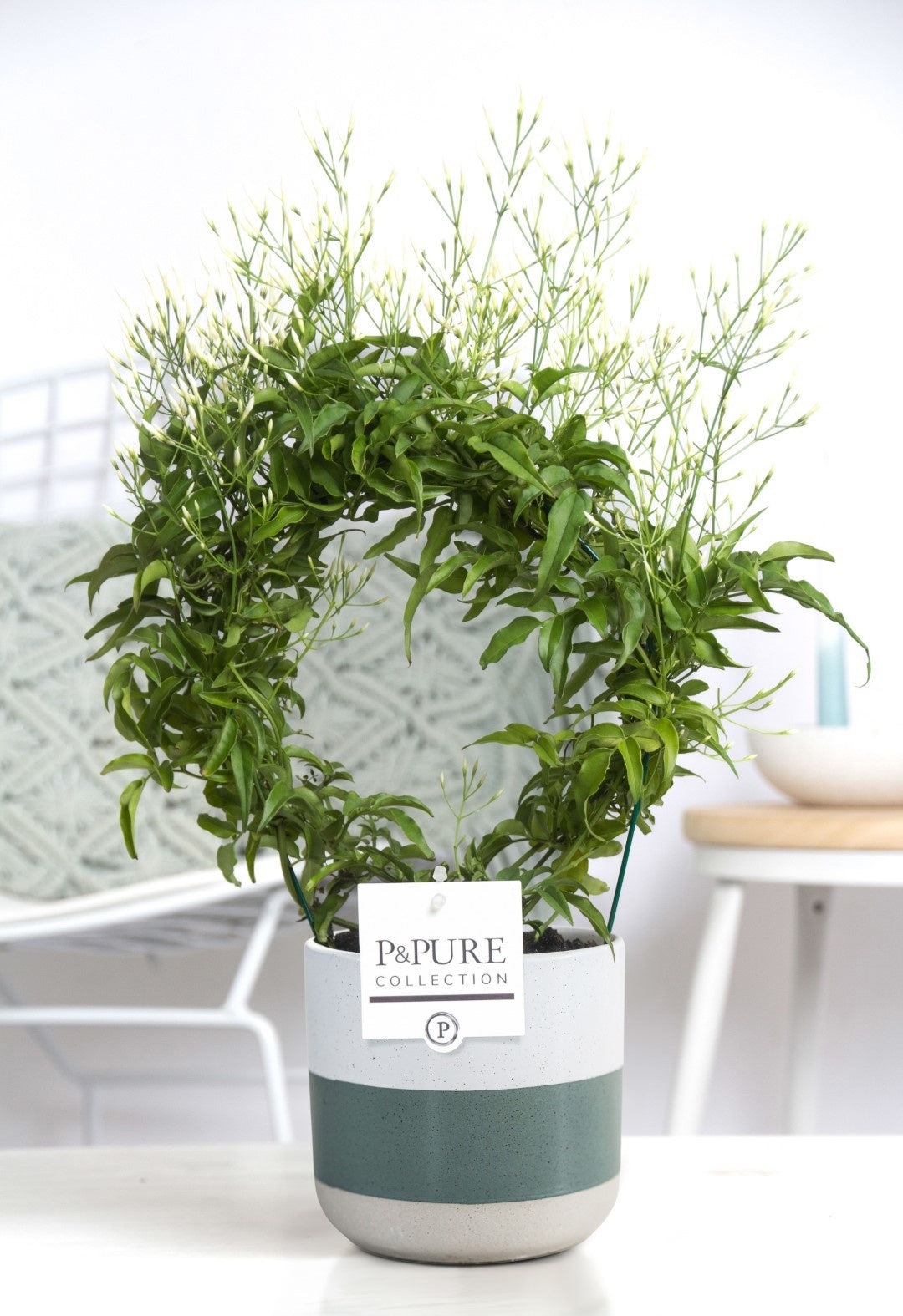 Jasm Poly Wit Boog 200+ Knop Keramiek Lauren