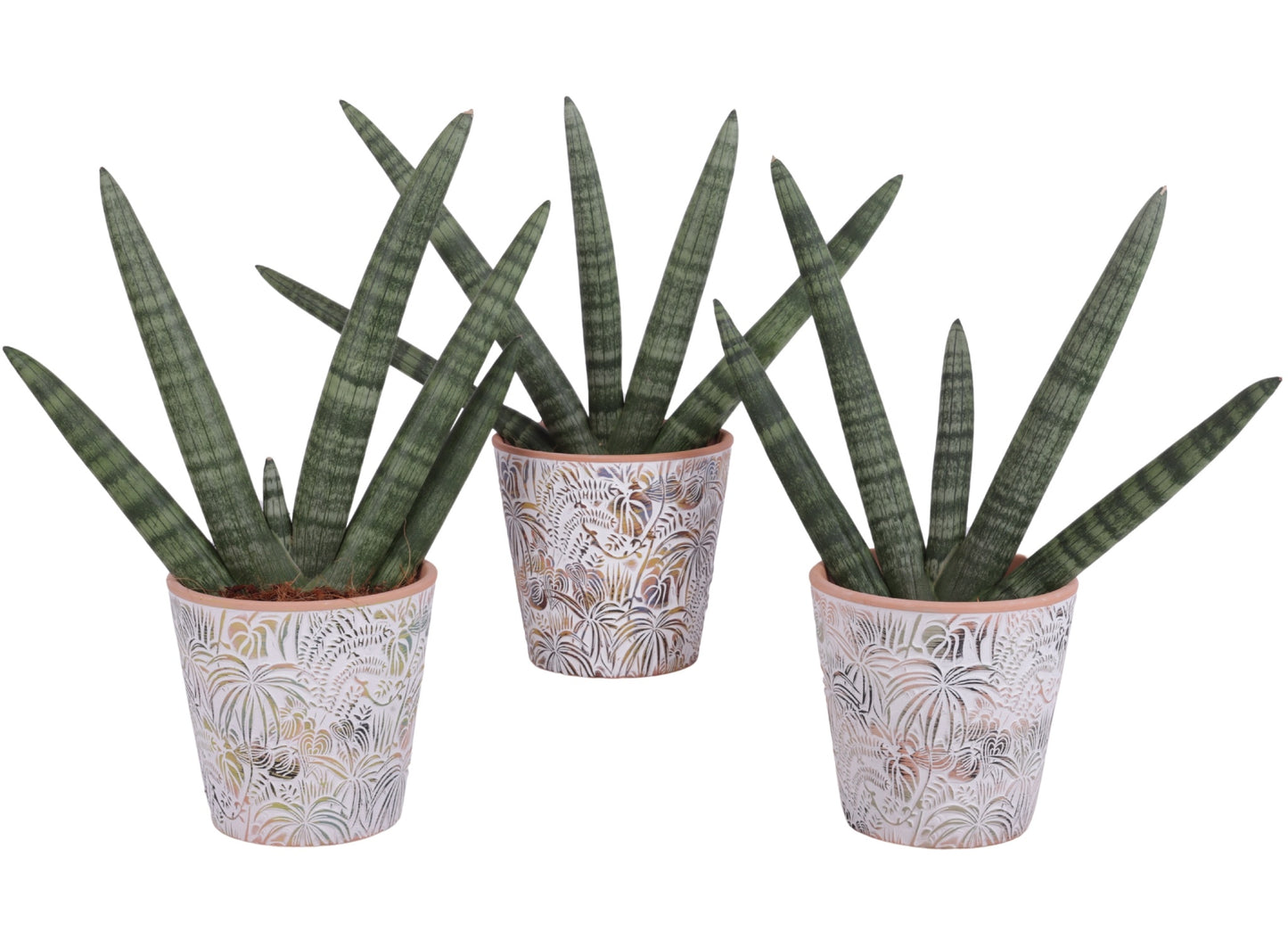 Sans Cyl Handshake Keramiek Jungle