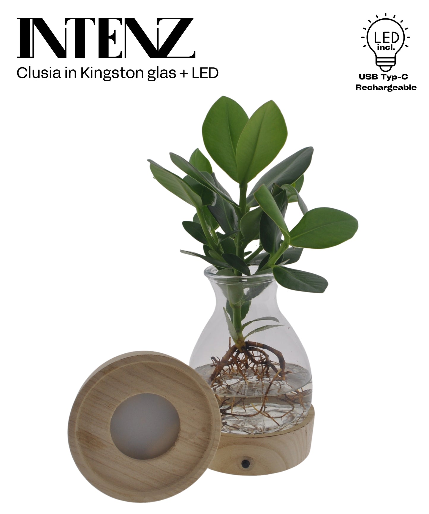 Opm Intenz Clusia Glas Kingston + Led