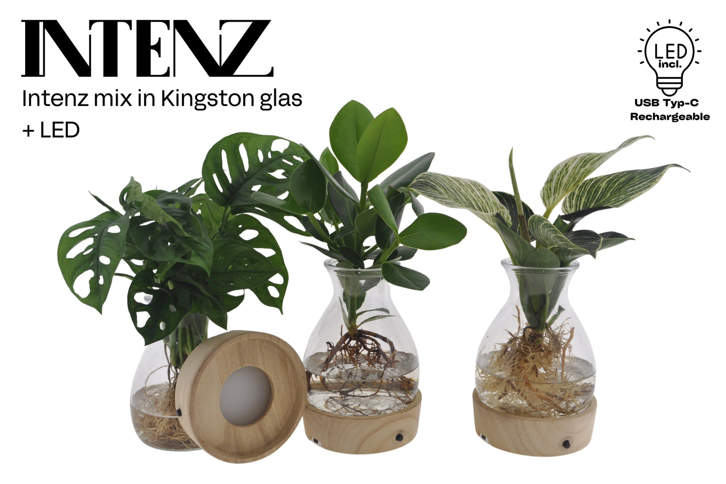 Opm Intenz Gemengd Glas Kingston + Led