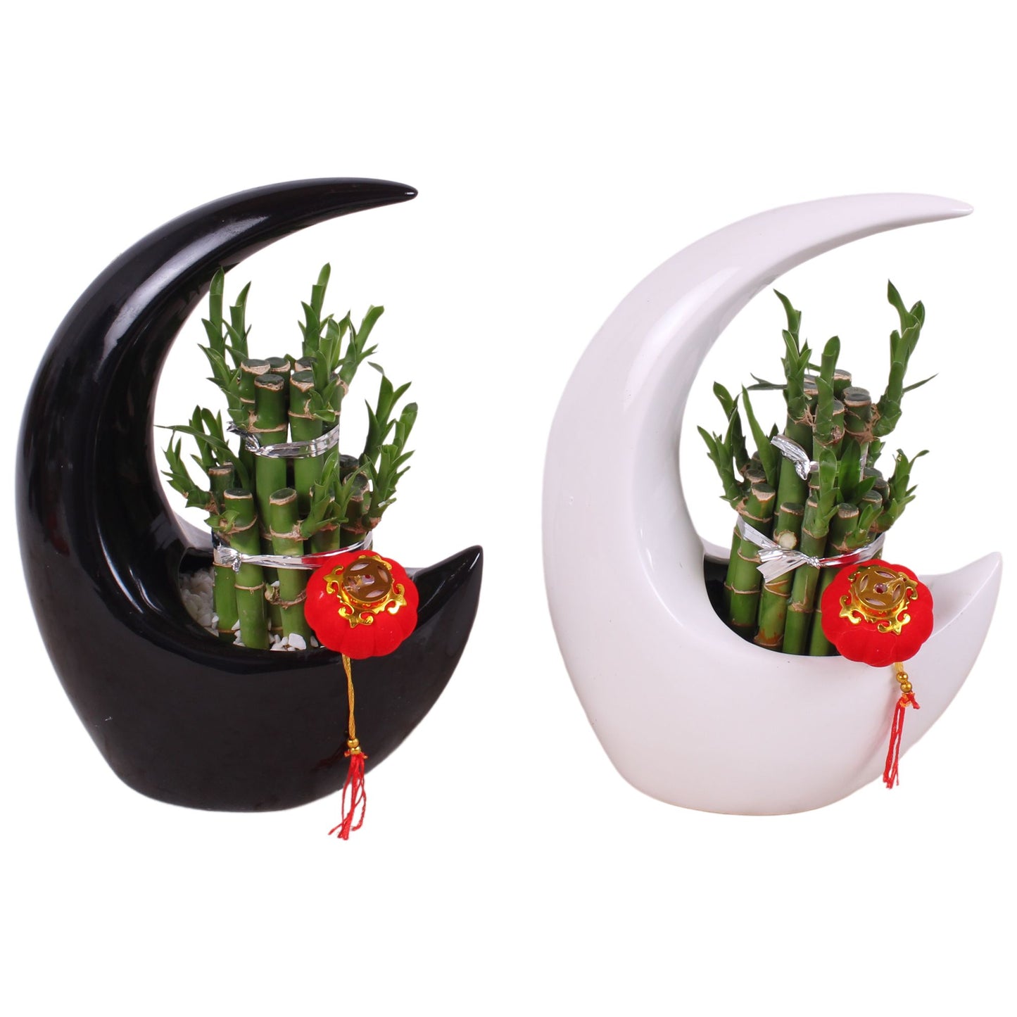 Dra Lucky Bamboo Round Keramiek Moonshape Zwart &