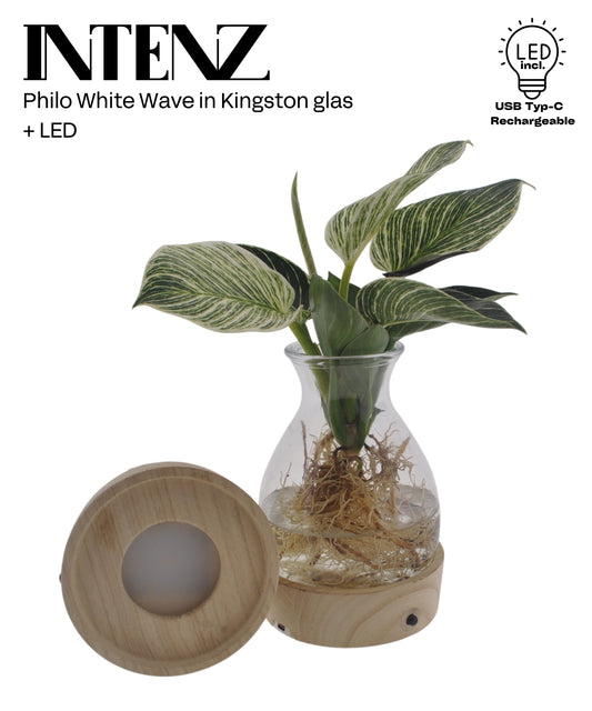 Opm Intenz Phil White Wave Kingston Glas + LED