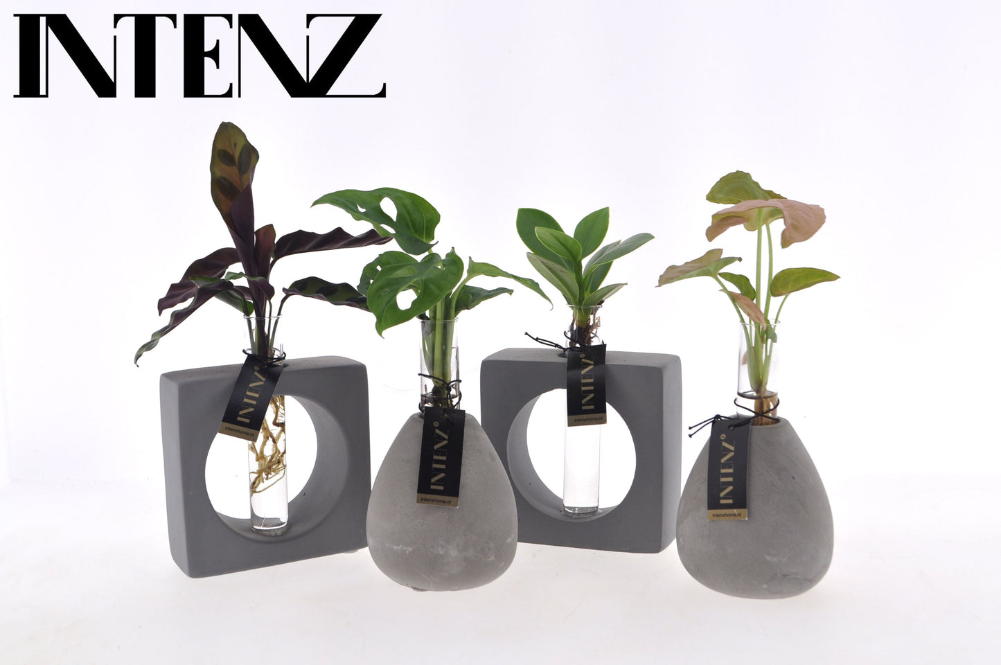 Opm Intenz Gemengd Glas Manilla