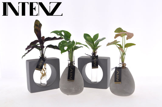 Opm Intenz Gemengd Glas Manilla