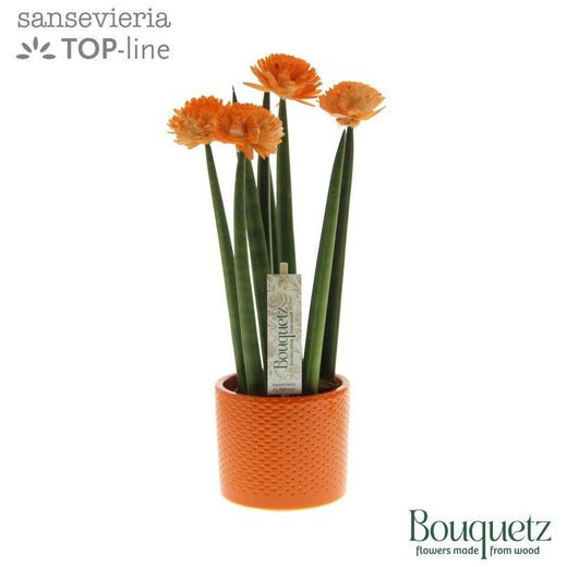 Sans Cyl Bouquetz Orange Keramiek Dots