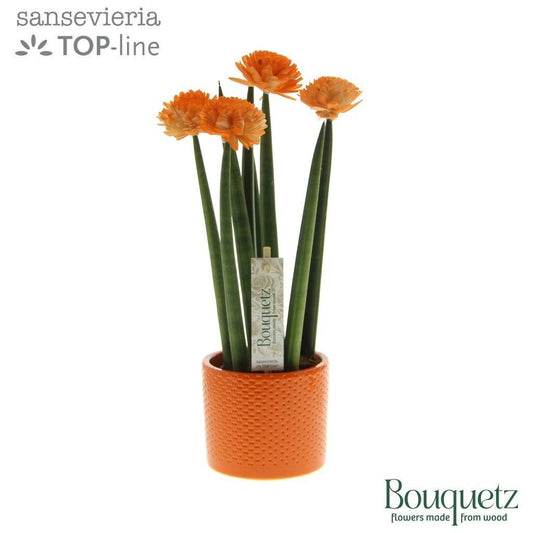 Sans Cyl Bouquetz Orange Keramiek Dots