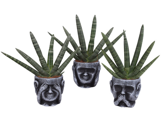 Sans Cyl Handshake Keramiek