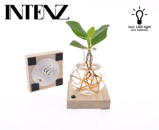 Opm Intenz Clusia Glas Samoa + Led