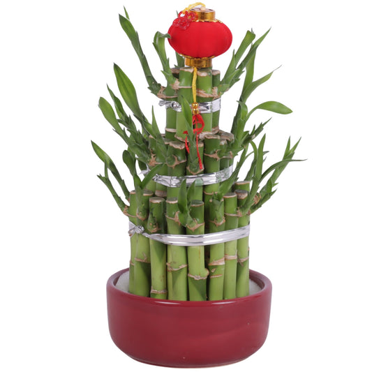 Dra Lucky Bamboo Round Keramiek Red