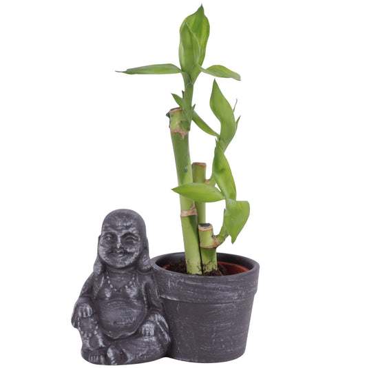 Dra Lucky Bamboo Toef Keramiek Sitting Buddha