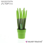 Sans Cyl Velvet Touchz Groen Keramiek