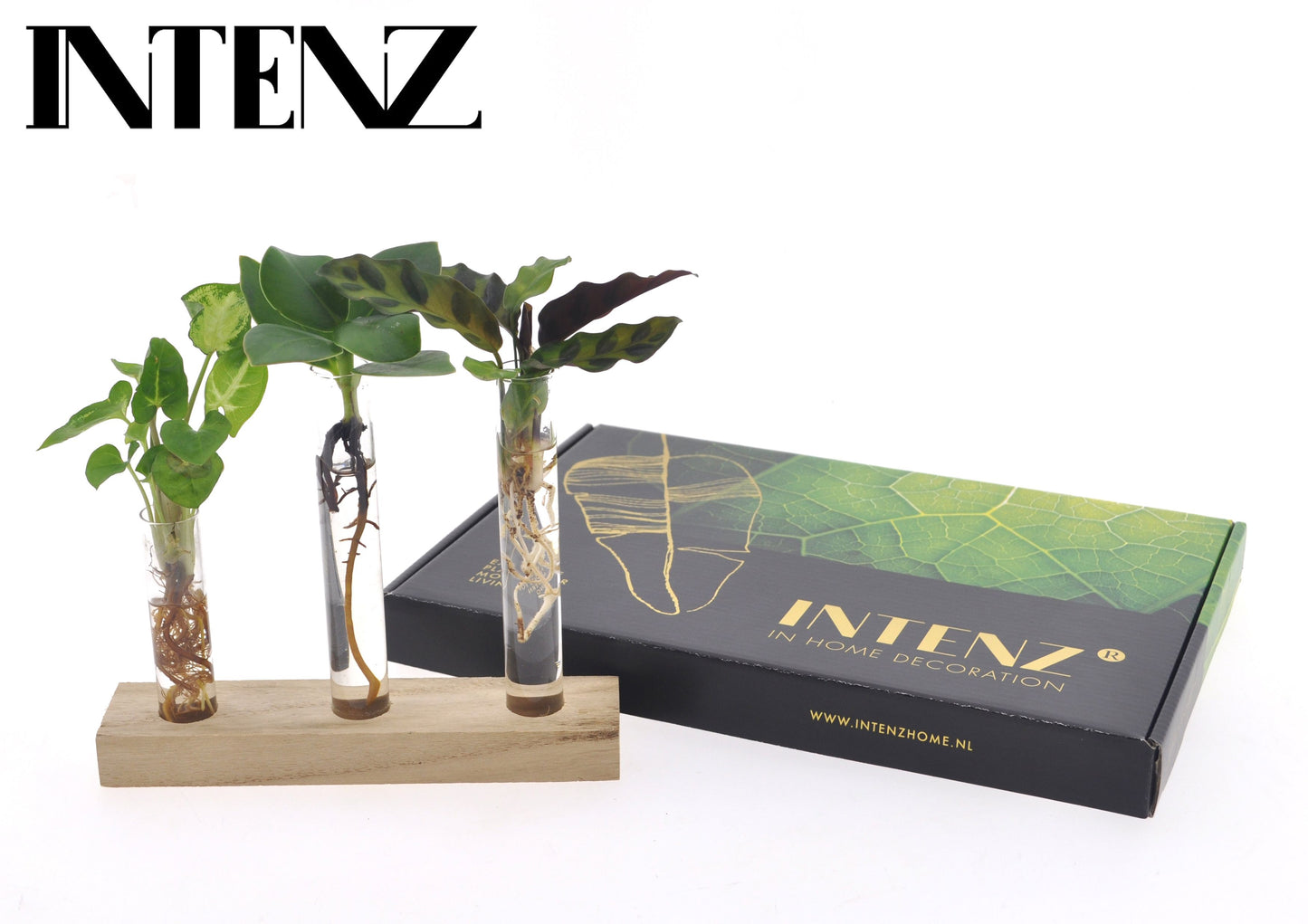 Opm Intenz Glas Hydroponie