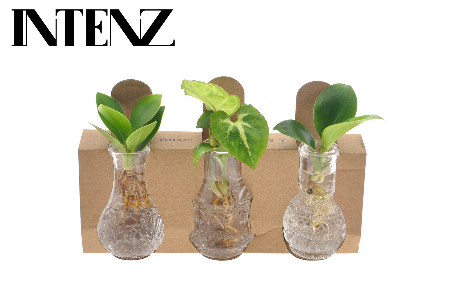 Opm Intenz Gemengd Glas Berlin