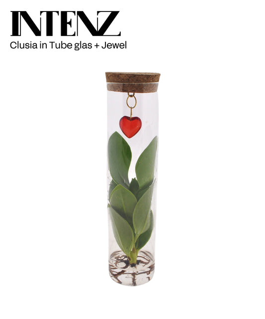 Opm Intenz Gemengd Glas Tube + Jewel