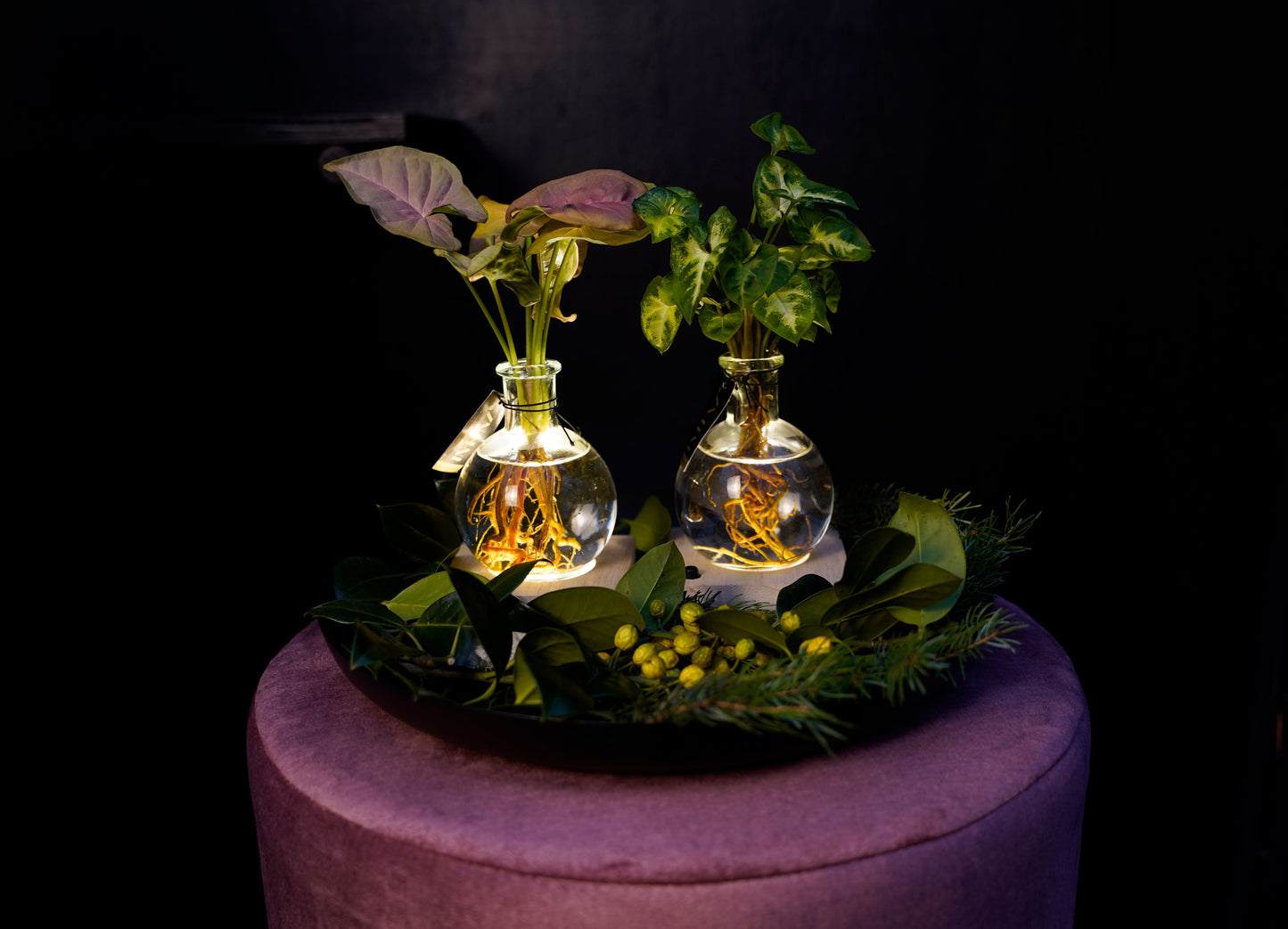 Opm Intenz X-mas Gemengd Glas Samoa + Led