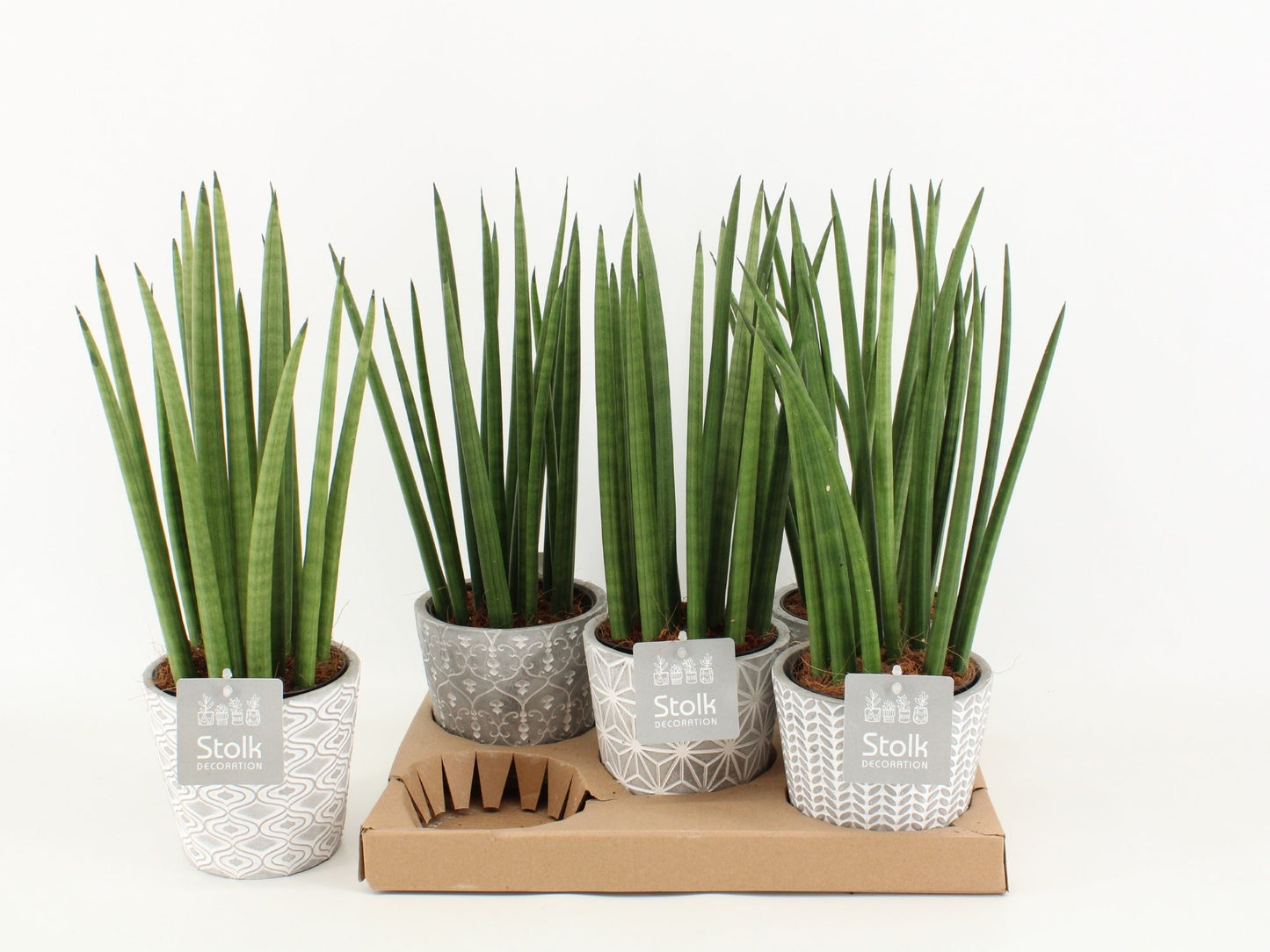 Sans Cyl Keramiek Star