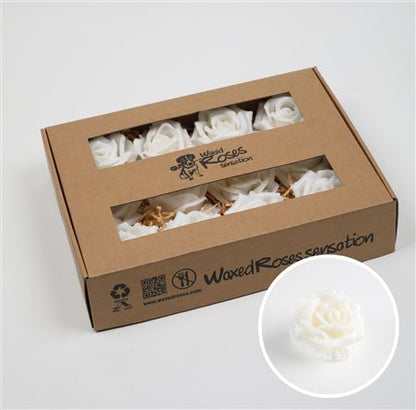 FeedSync:wholesale:63b44bf6fb6e4789aecd7203eca3307e92f948bf