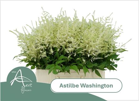 FeedSync:wholesale:965c3d58ae624787938d0f7991441a9122bea06b
