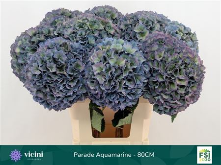 FeedSync:wholesale:e2dd0ae75a4de8525d522f354d43bba207377544
