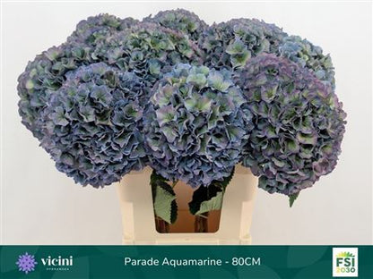 FeedSync:wholesale:e2dd0ae75a4de8525d522f354d43bba207377544