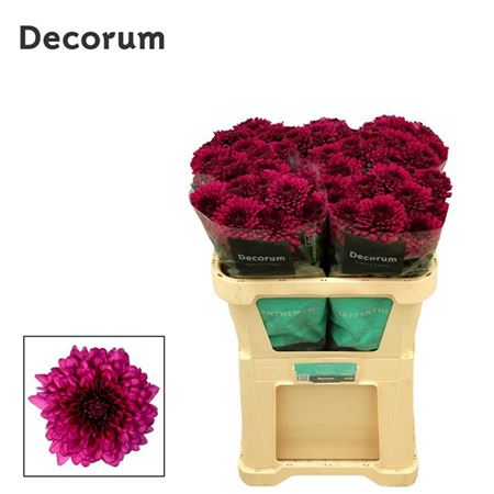 FeedSync:wholesale:beea93a92b07d75d6ce006cfd9e19a0edc014e59