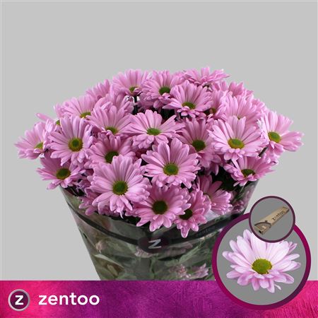 FeedSync:wholesale:b2106f11d6b1e80ef93b71adc8ec20707f9d57d9