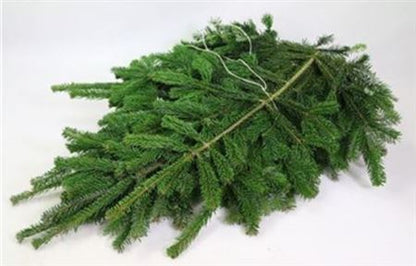 FeedSync:wholesale:bdc834077af8f82e9bddd03b2f015d71bb33be62