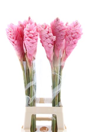 FeedSync:wholesale:f7aa77ba18c0522ec4387b0df09ea279b86c8645