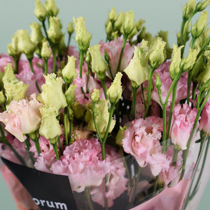 Eustoma Alissa Hanoi Pink (10 Stems)