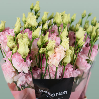 Eustoma Alissa Hanoi Pink (10 Stems)
