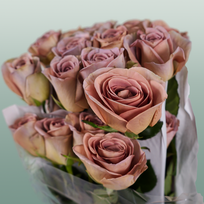 Rose Amnesia Ecuadorian (25 Stems)