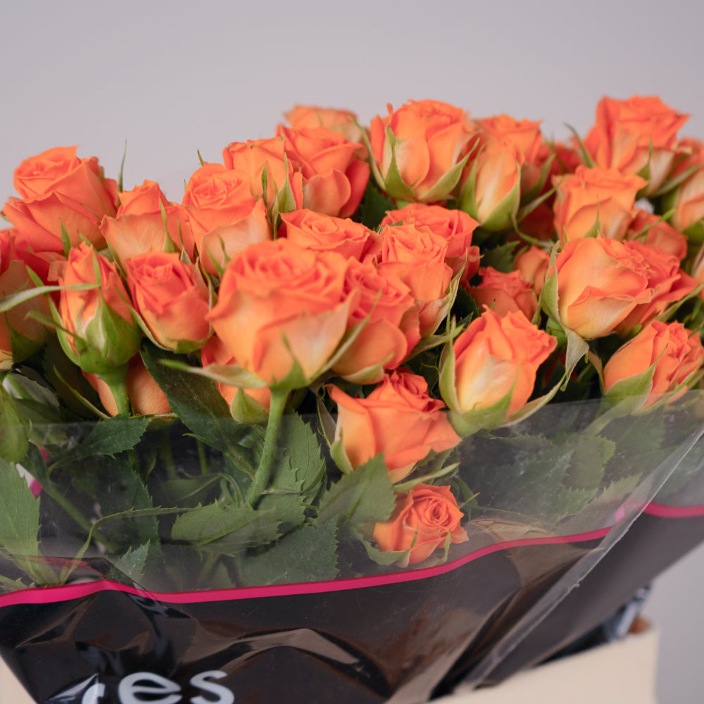 Spray Rose Ariya (10 Stems)