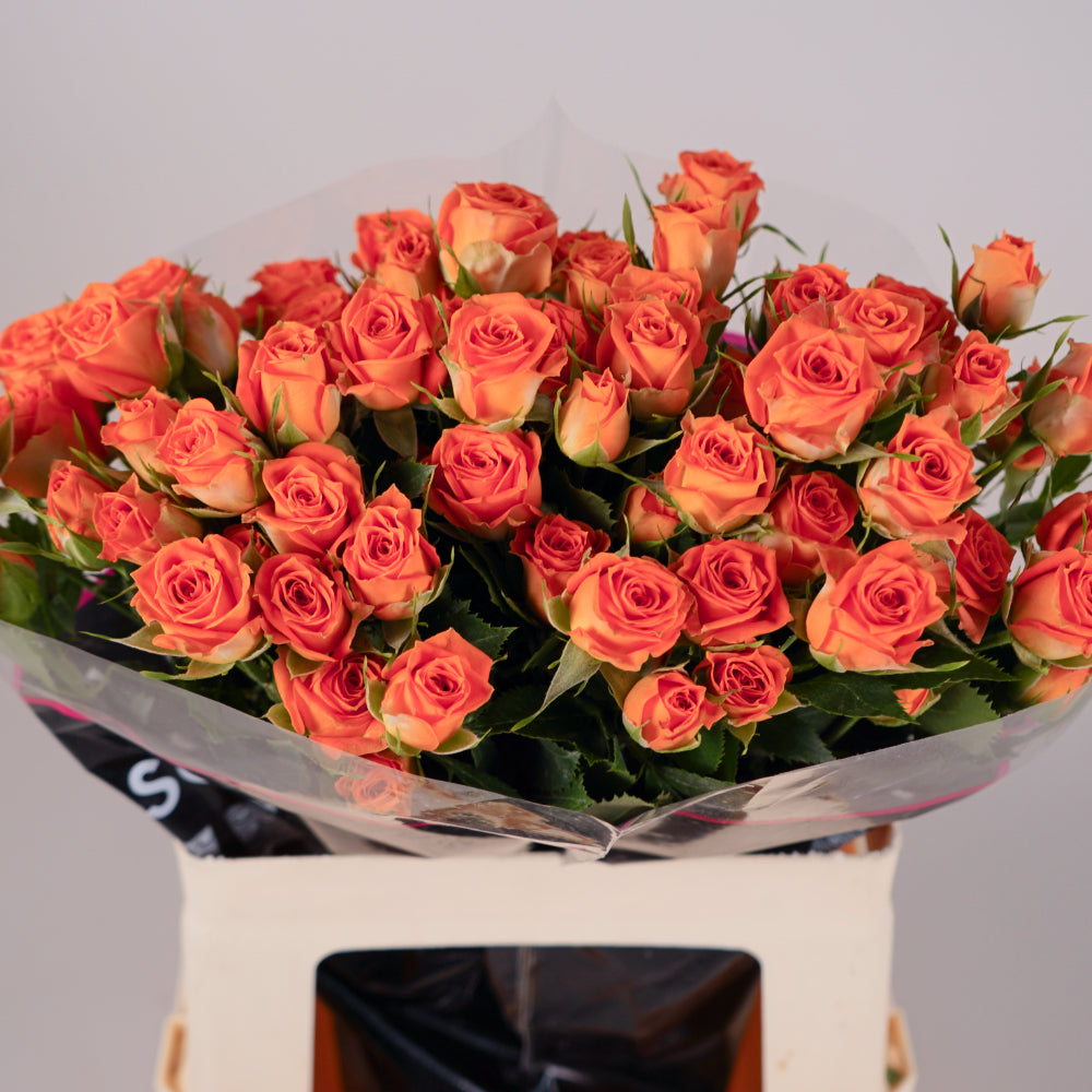 Spray Rose Ariya (10 Stems)