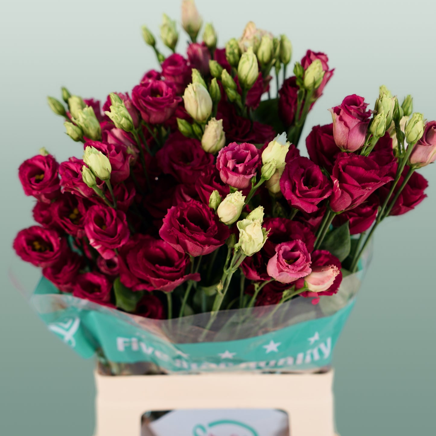 Lisianthus DBL. Arosa Red (10 Stems)
