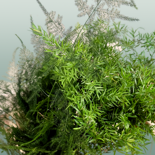 Asparagus Mix