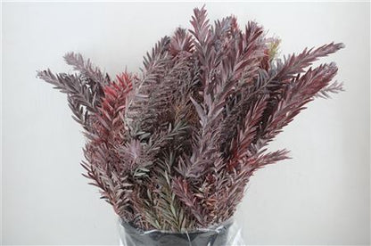 FeedSync:wholesale:86bee1230ff49b12063f00d6ab75e60bc5e4a324