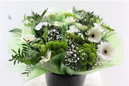 FeedSync:wholesale:09288c425050ec2fcfc4488006575d5b38fd06f5
