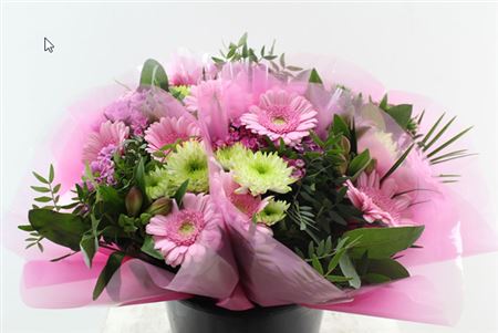 FeedSync:wholesale:de6c19265bfd15f8bf328af21146b0697571fa17