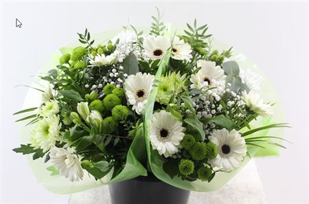 FeedSync:wholesale:5b6541eaeb9d2cd9b0b2d99ac47802586d02fc3a