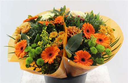 FeedSync:wholesale:61fbdc85bec3fad12708f9bb649593a2baa55f10