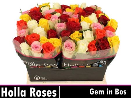 Rose Mixed in the Bunch
