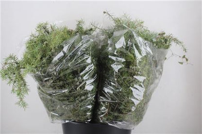 FeedSync:wholesale:43def35e0c691752e63d12f5390ecb1ba26965d2