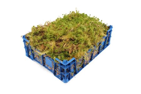 FeedSync:wholesale:f33ed6f118a224ab093fc8e93aaaf14d9448db21