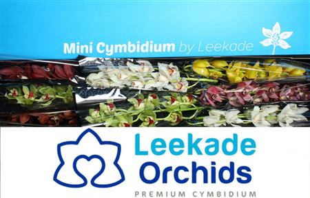 FeedSync:wholesale:92dfc14df0d37739117fb91028695ec2c62f3135