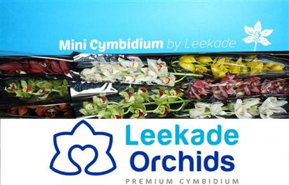 FeedSync:wholesale:92dfc14df0d37739117fb91028695ec2c62f3135